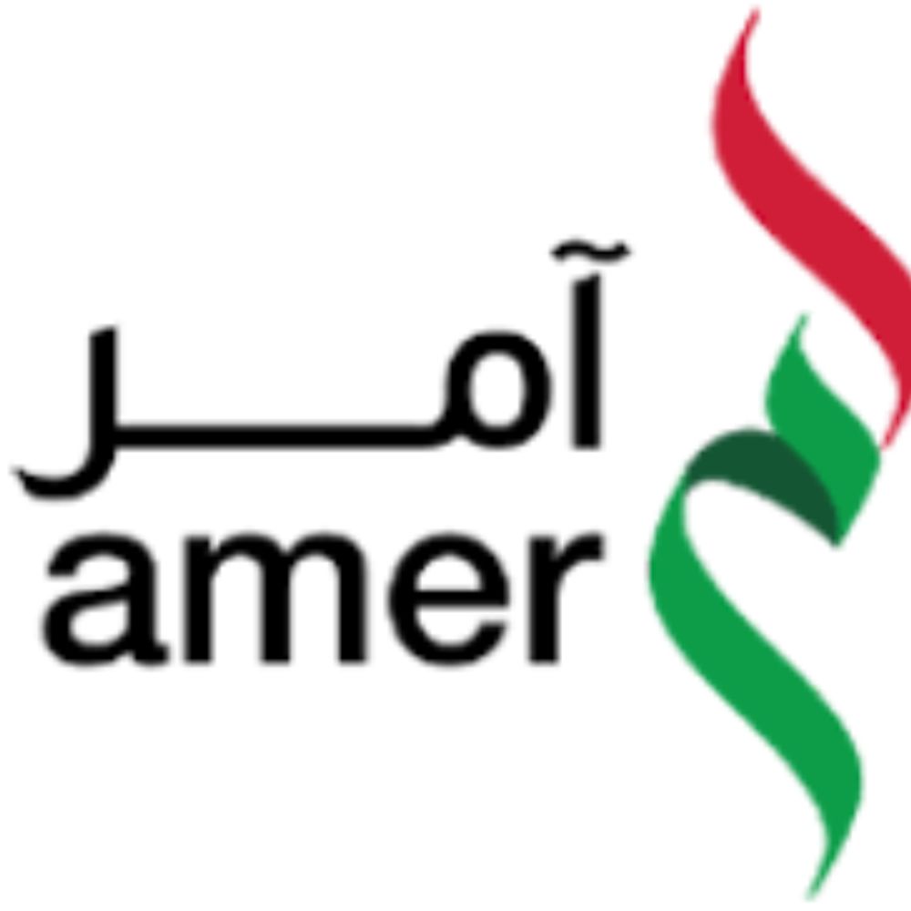 amer, anisha group